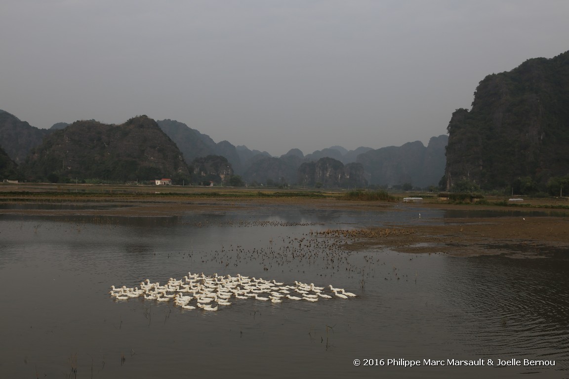 /ecran/Vietnam_2016_2329.jpg