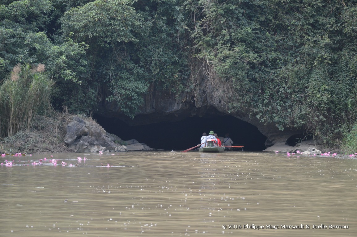 /ecran/Vietnam_2016_2391.jpg