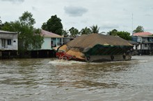 vignette Vietnam_2016_0171.jpg 