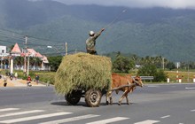 vignette Vietnam_2016_0850.jpg 