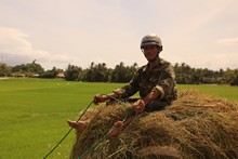 vignette Vietnam_2016_0855.jpg 