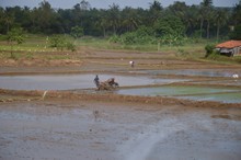 vignette Vietnam_2016_0895.jpg 