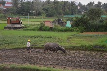 vignette Vietnam_2016_0932.jpg 