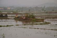 vignette Vietnam_2016_0974.jpg 