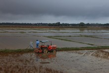 vignette Vietnam_2016_0976.jpg 