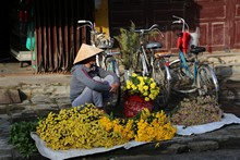 vignette Vietnam_2016_1148.jpg 