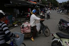 vignette Vietnam_2016_1262.jpg 