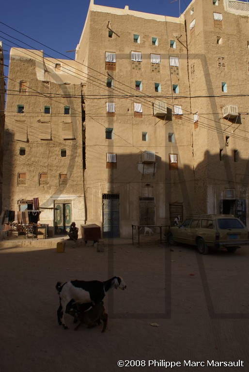 /ecran/Hadramaout-2_076.jpg