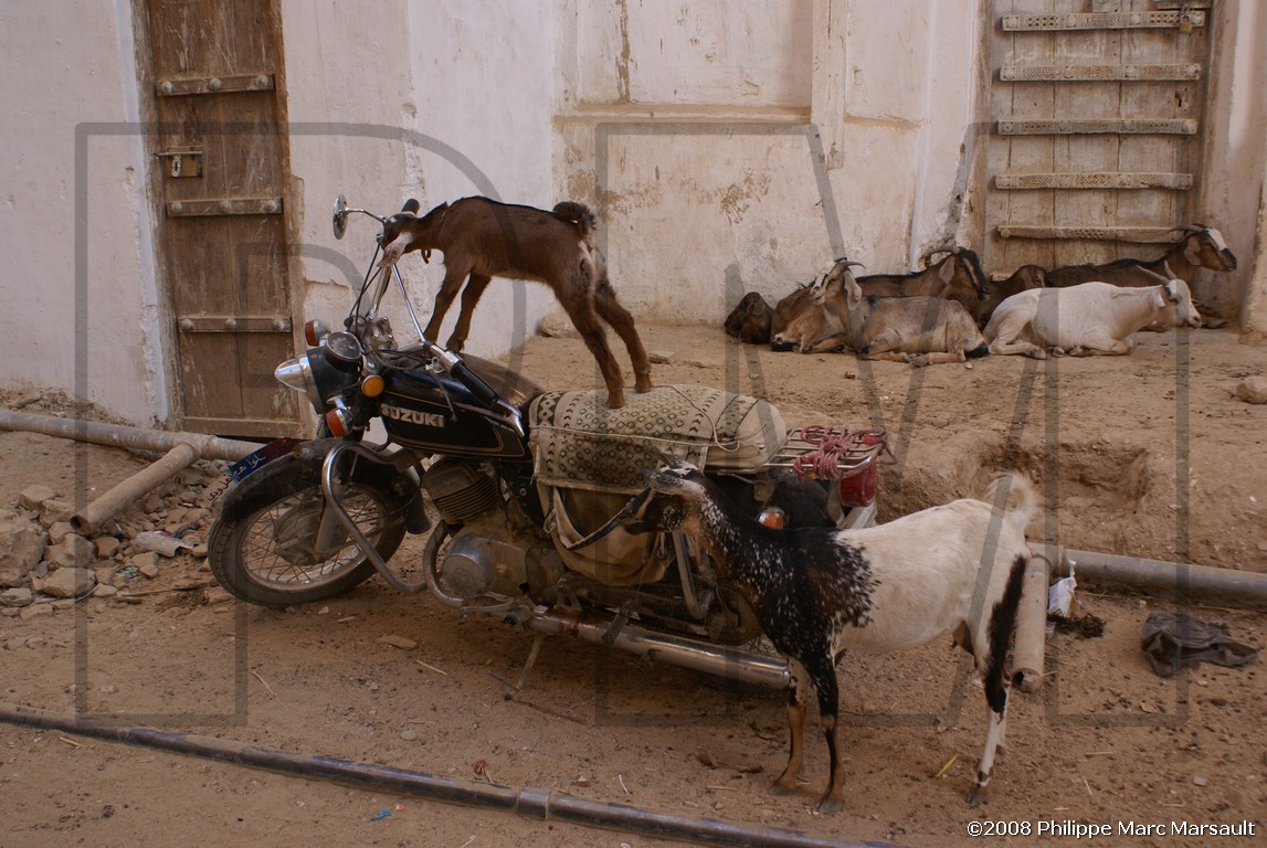 /ecran/Hadramaout-2_081.jpg