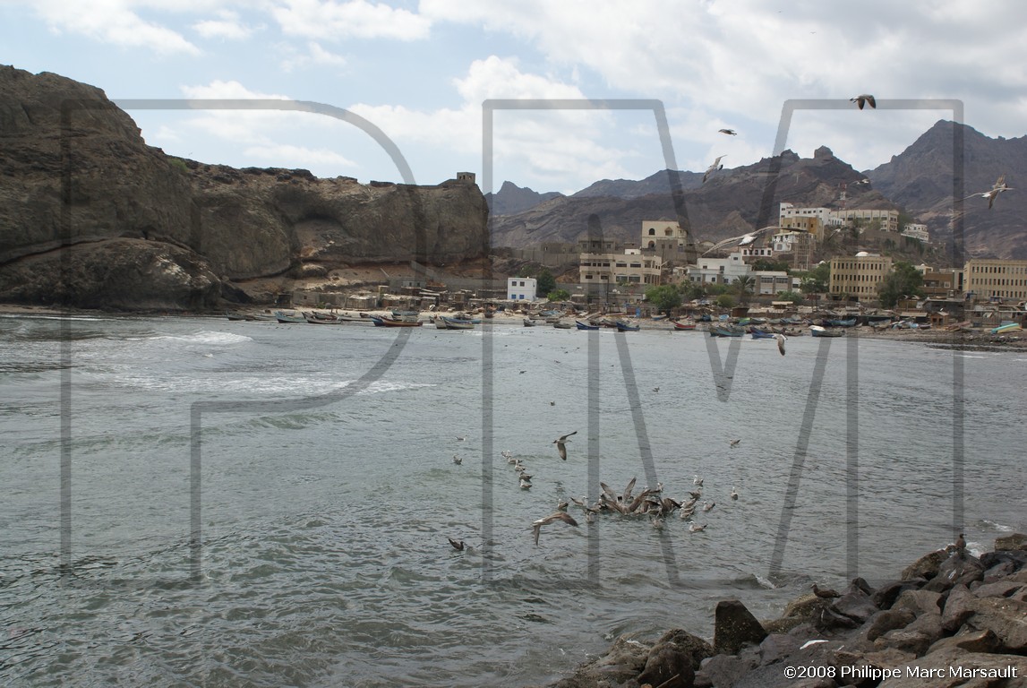 /ecran/Hadramaout-2_509.jpg