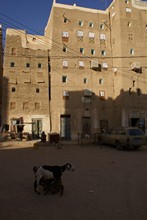 vignette Hadramaout-2_076.jpg 