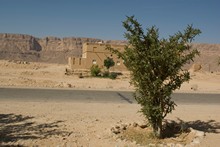 vignette Hadramaout-2_156.jpg 