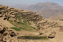 vignette Hadramaout-3_134.jpg 