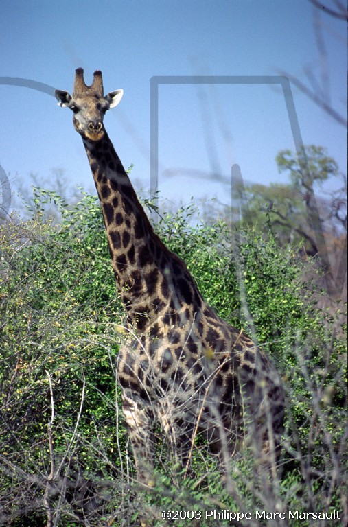 /ecran/01_afrique-australe_008.jpg