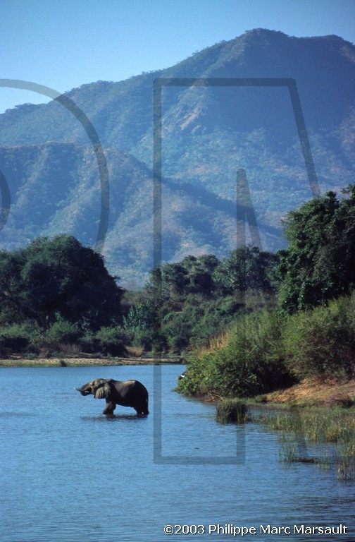 /ecran/01_afrique-australe_036.jpg