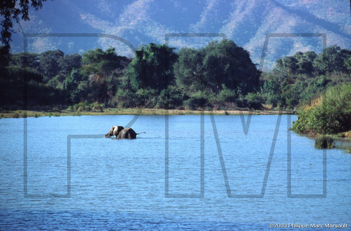 /ecran/01_afrique-australe_037.jpg