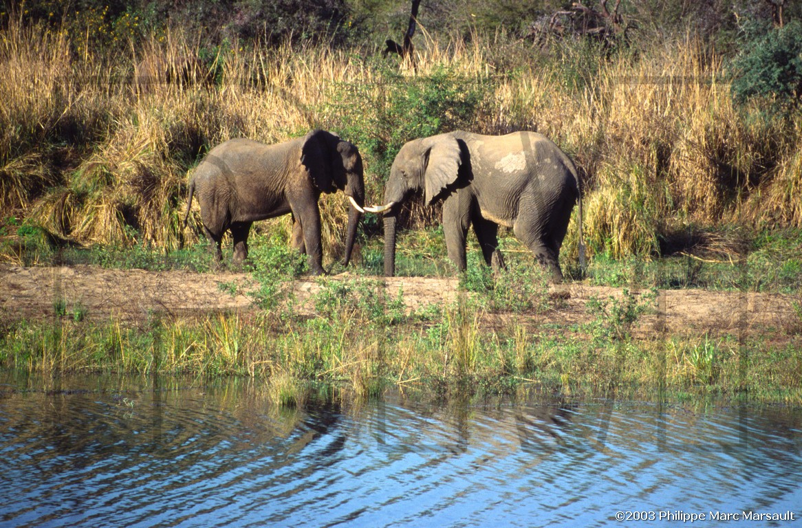 /ecran/01_afrique-australe_038.jpg