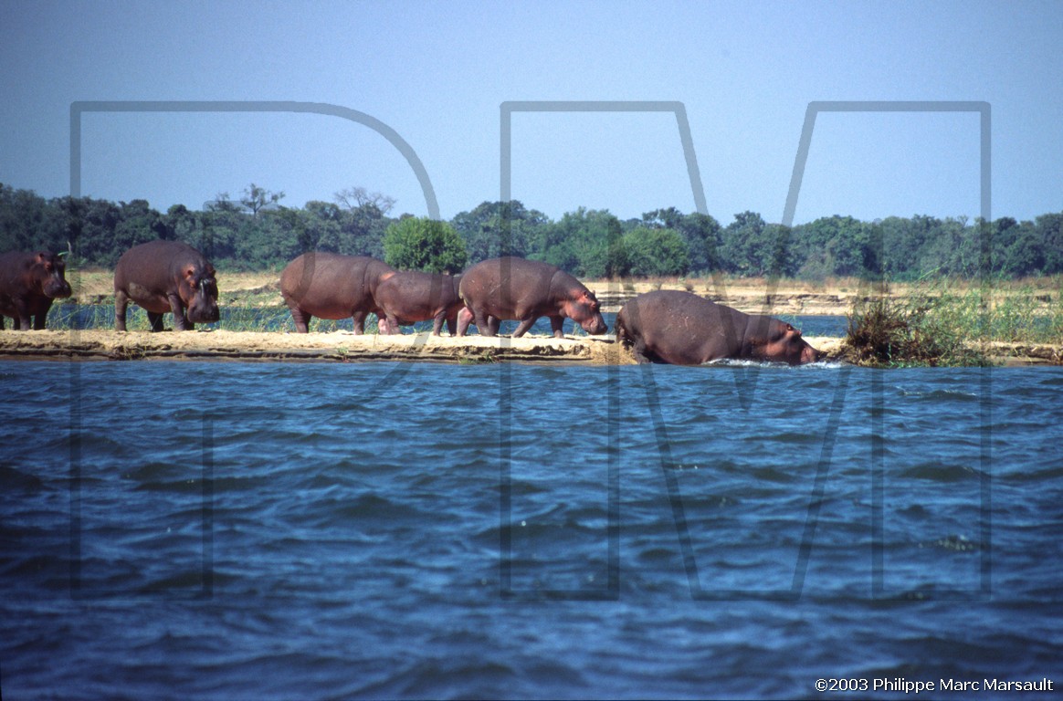 /ecran/01_afrique-australe_041.jpg