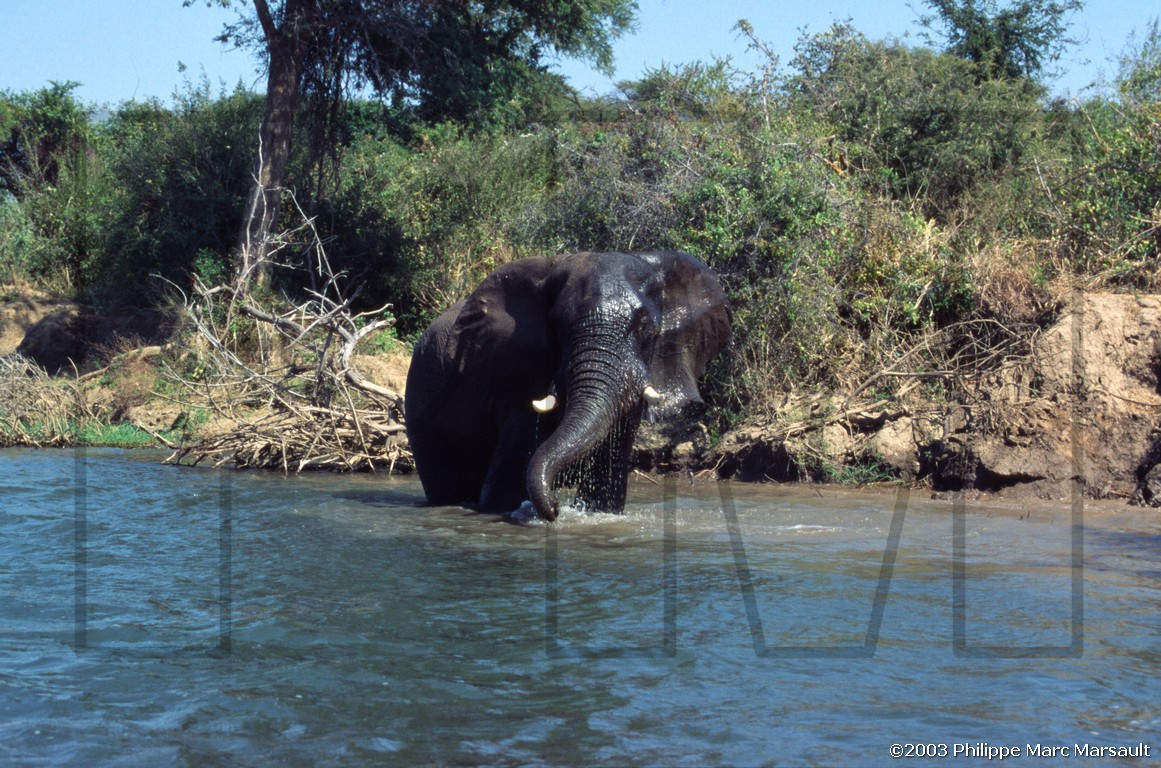 /ecran/01_afrique-australe_042.jpg