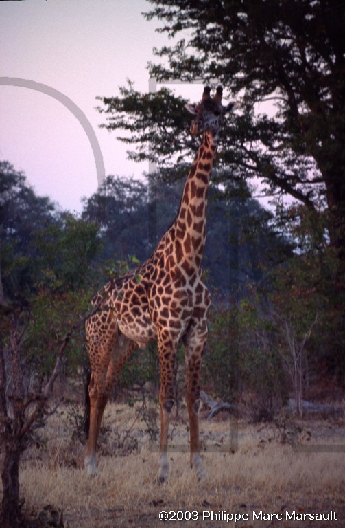 /ecran/01_afrique-australe_044.jpg