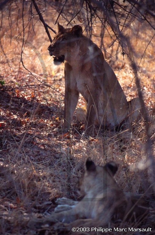 /ecran/01_afrique-australe_049.jpg