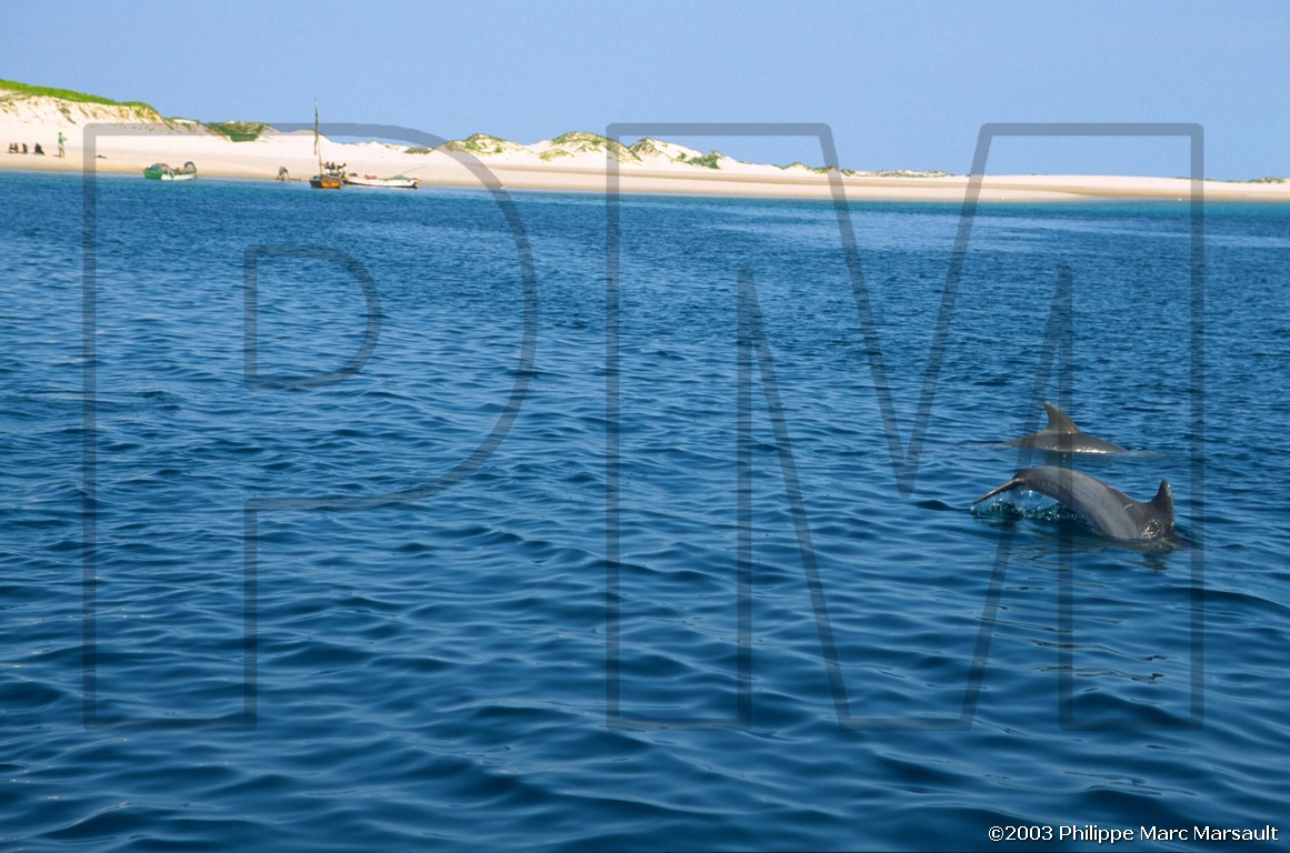 /ecran/01_afrique-australe_075.jpg