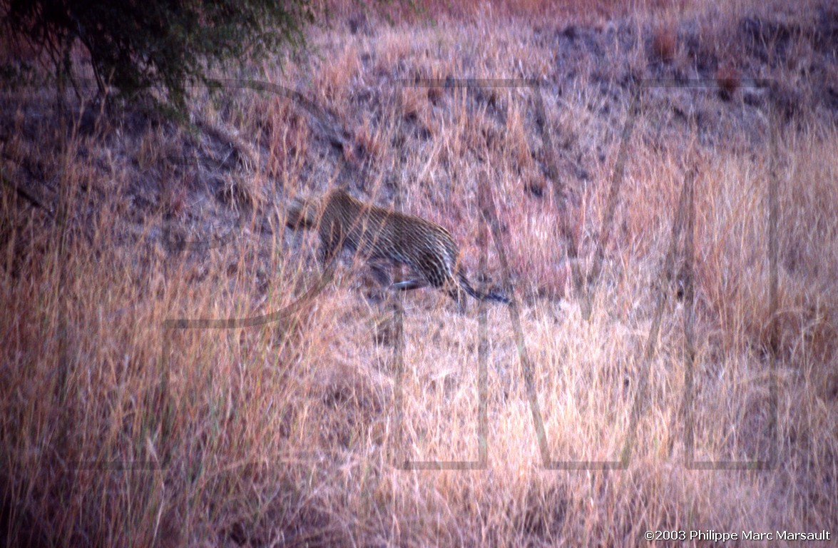 /ecran/01_afrique-australe_088.jpg