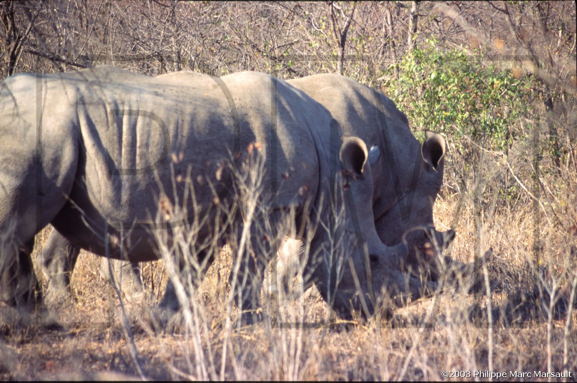 /ecran/01_afrique-australe_090.jpg