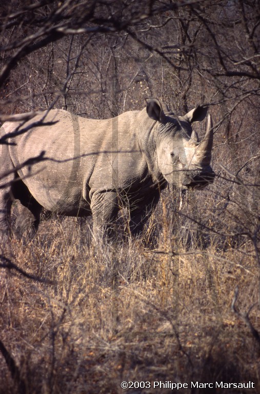 /ecran/01_afrique-australe_091.jpg