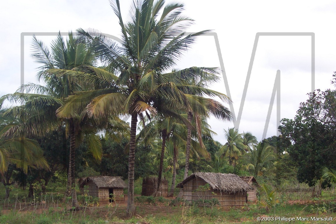 /ecran/06_MOZAMBIQUE_023.jpg