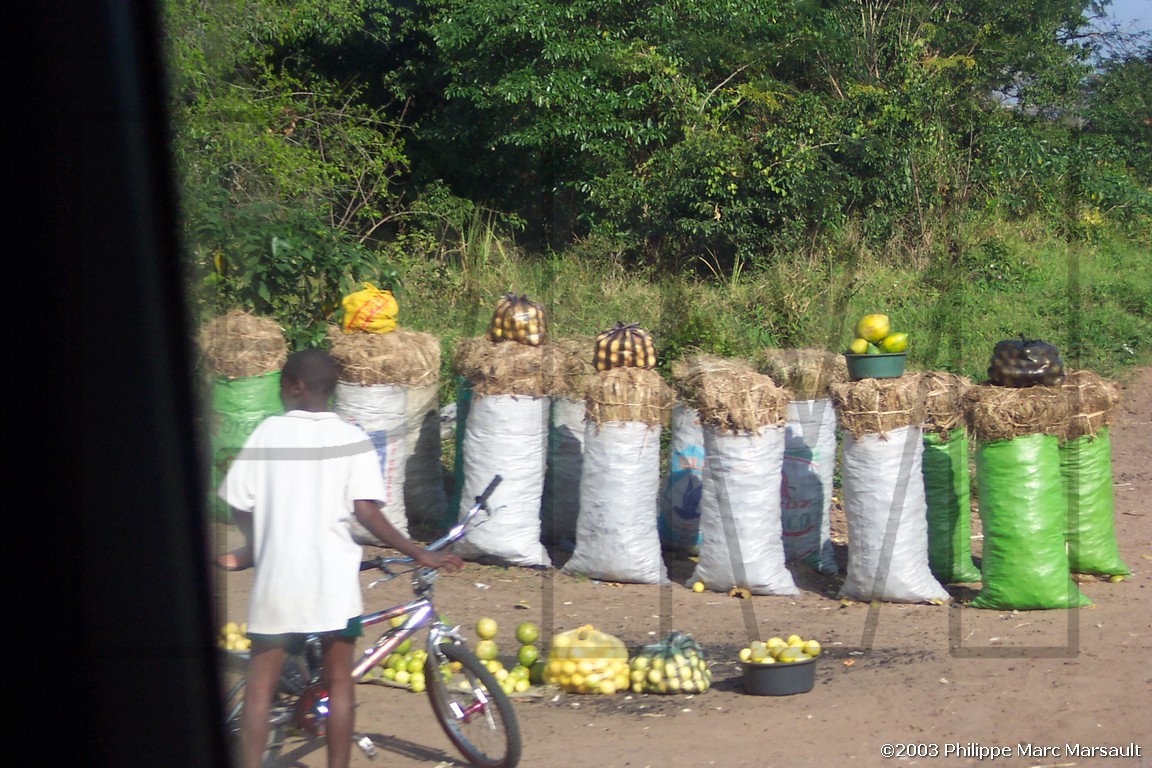 /ecran/06_MOZAMBIQUE_045.jpg