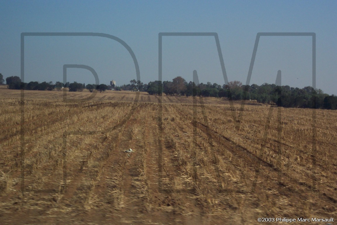 /ecran/07_AFRIQUE_SUD_021.jpg
