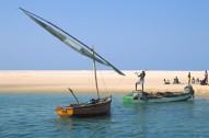 vignette 01_afrique-australe_076.jpg 