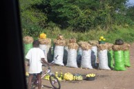 vignette 06_MOZAMBIQUE_045.jpg 