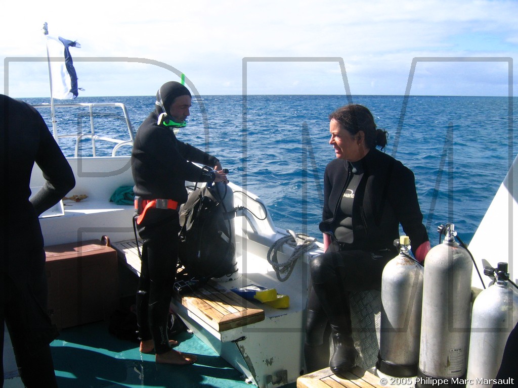 /ecran/N_australie_2005_508.jpg