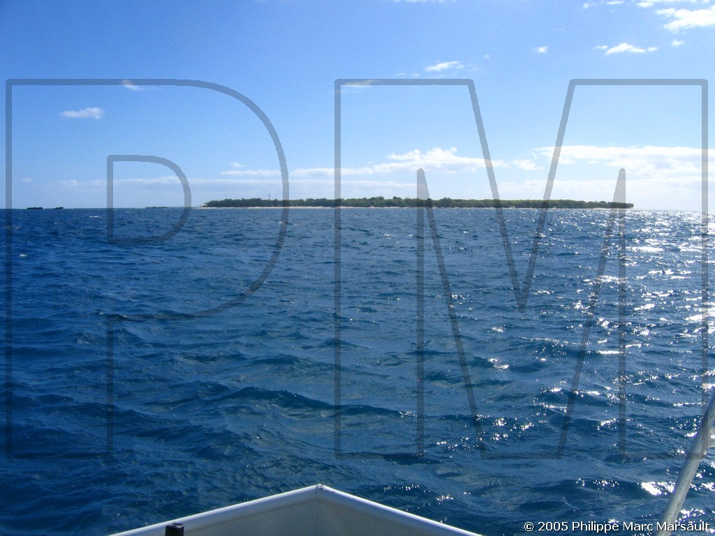 /ecran/N_australie_2005_509.jpg