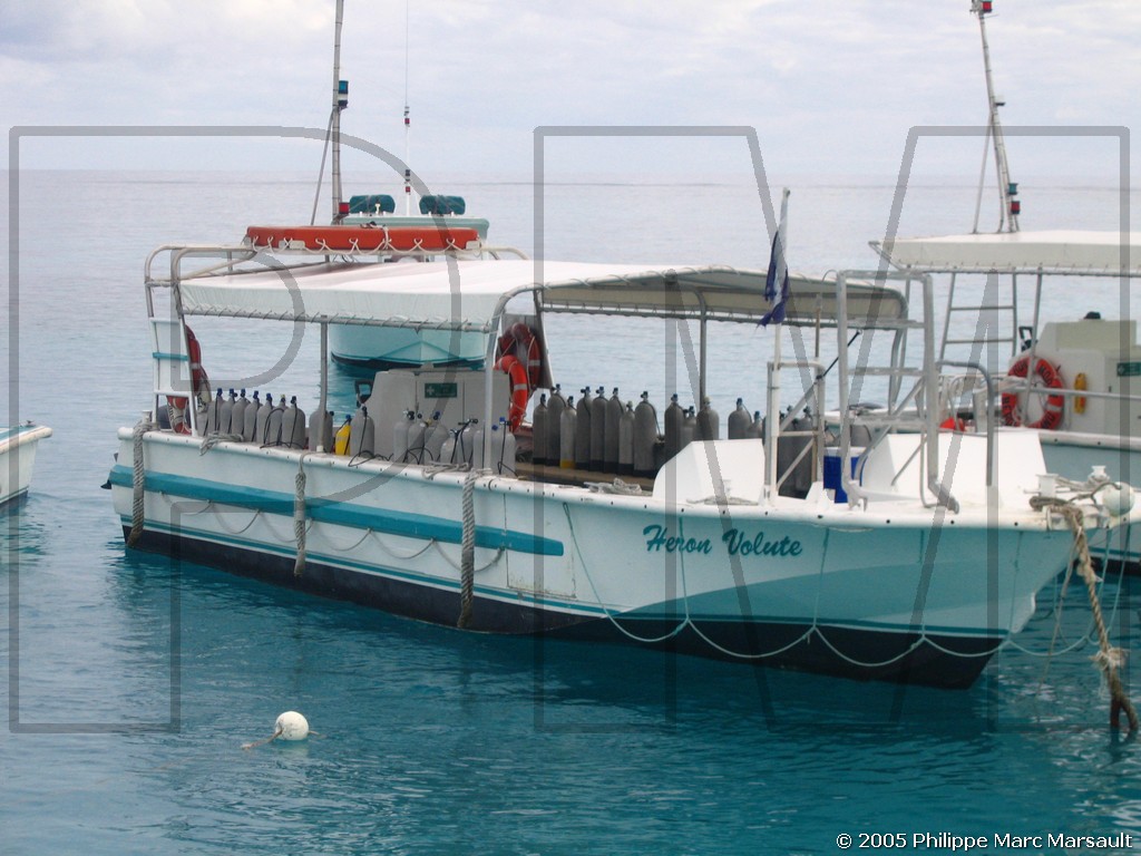 /ecran/N_australie_2005_565.jpg