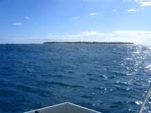 vignette N_australie_2005_509.jpg 