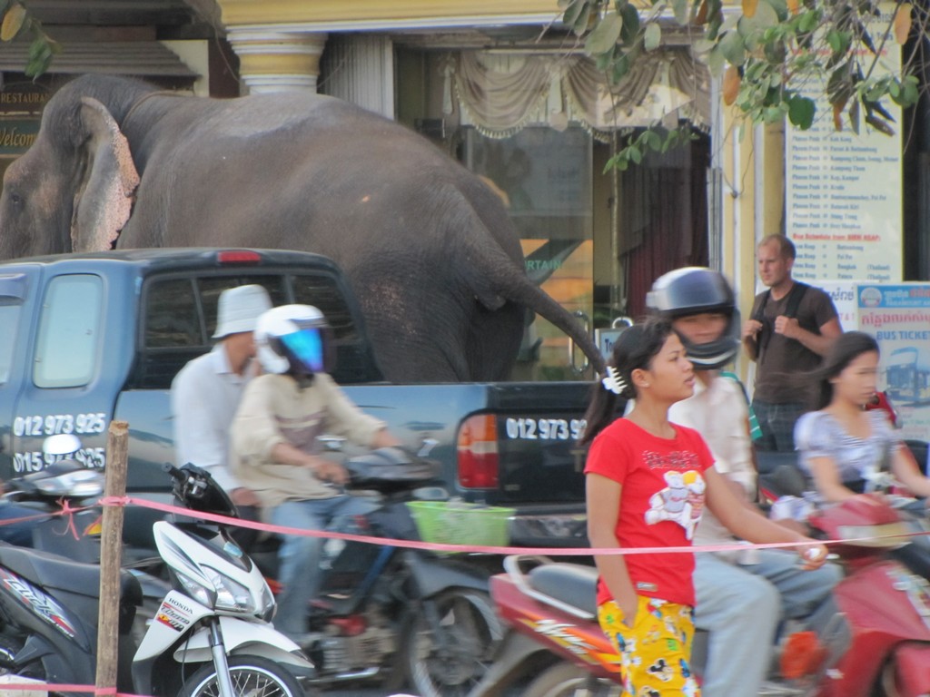 /ecran/Cambodge_0092.jpg