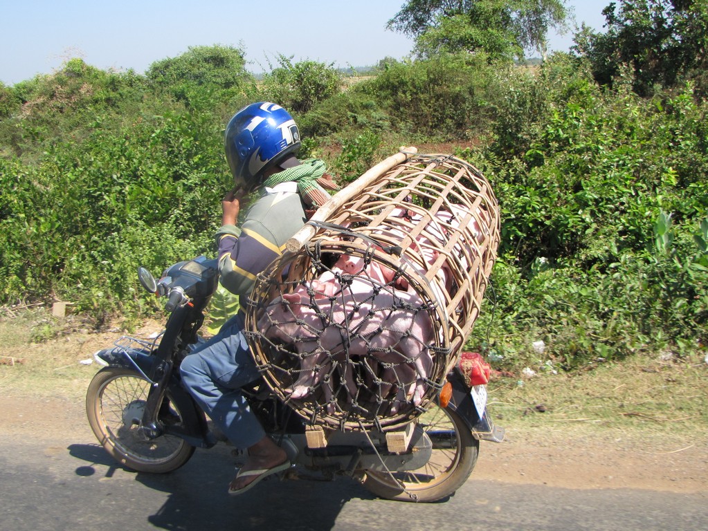 /ecran/Cambodge_0220.jpg