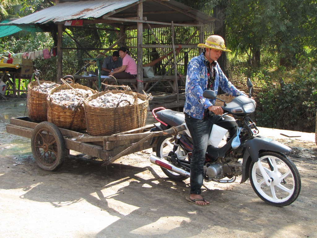 /ecran/Cambodge_0439.jpg