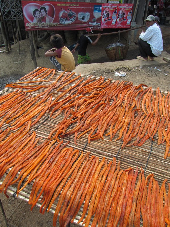 /ecran/Cambodge_0464.jpg