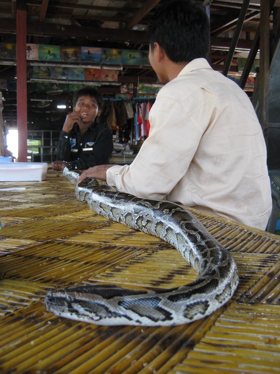 /ecran/Cambodge_2018.jpg