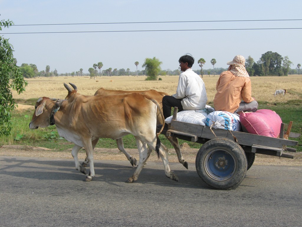 /ecran/Cambodge_2052.jpg