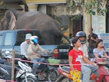 vignette Cambodge_0092.jpg 