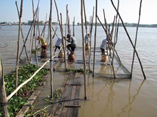 vignette Cambodge_0153.jpg 