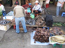 vignette Cambodge_0313.jpg 