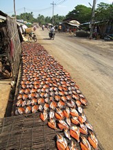 vignette Cambodge_0442.jpg 