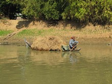 vignette Cambodge_0564.jpg 