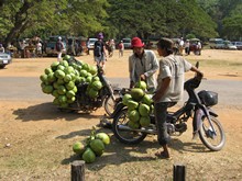 vignette Cambodge_0865.jpg 